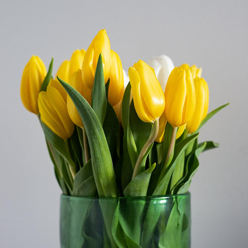 Gele tulpen