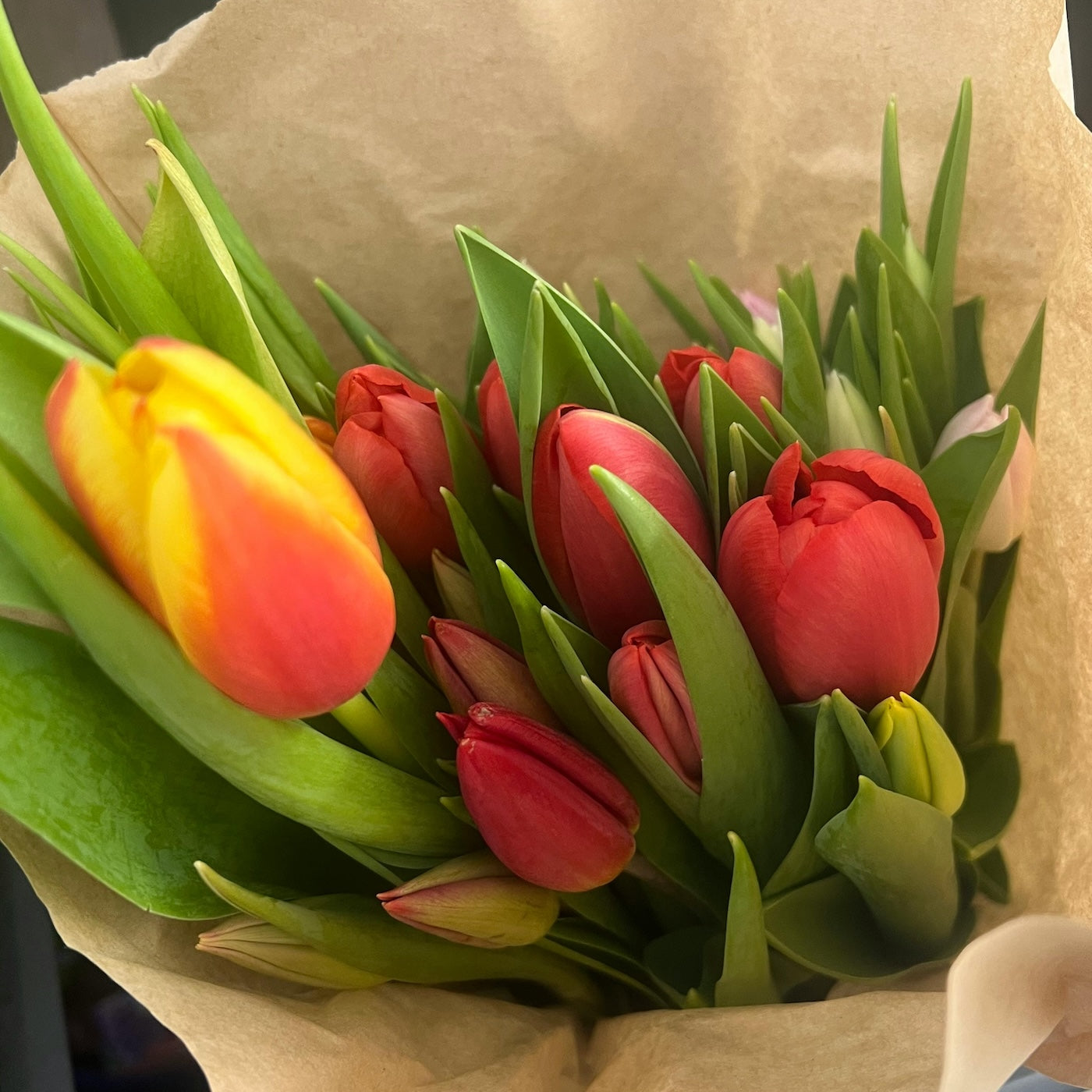 Oranje tulpen
