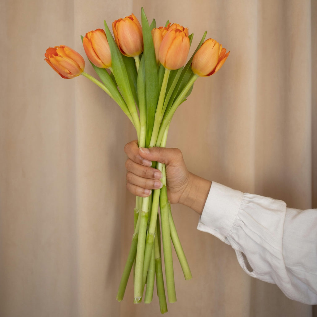 Oranje tulpen