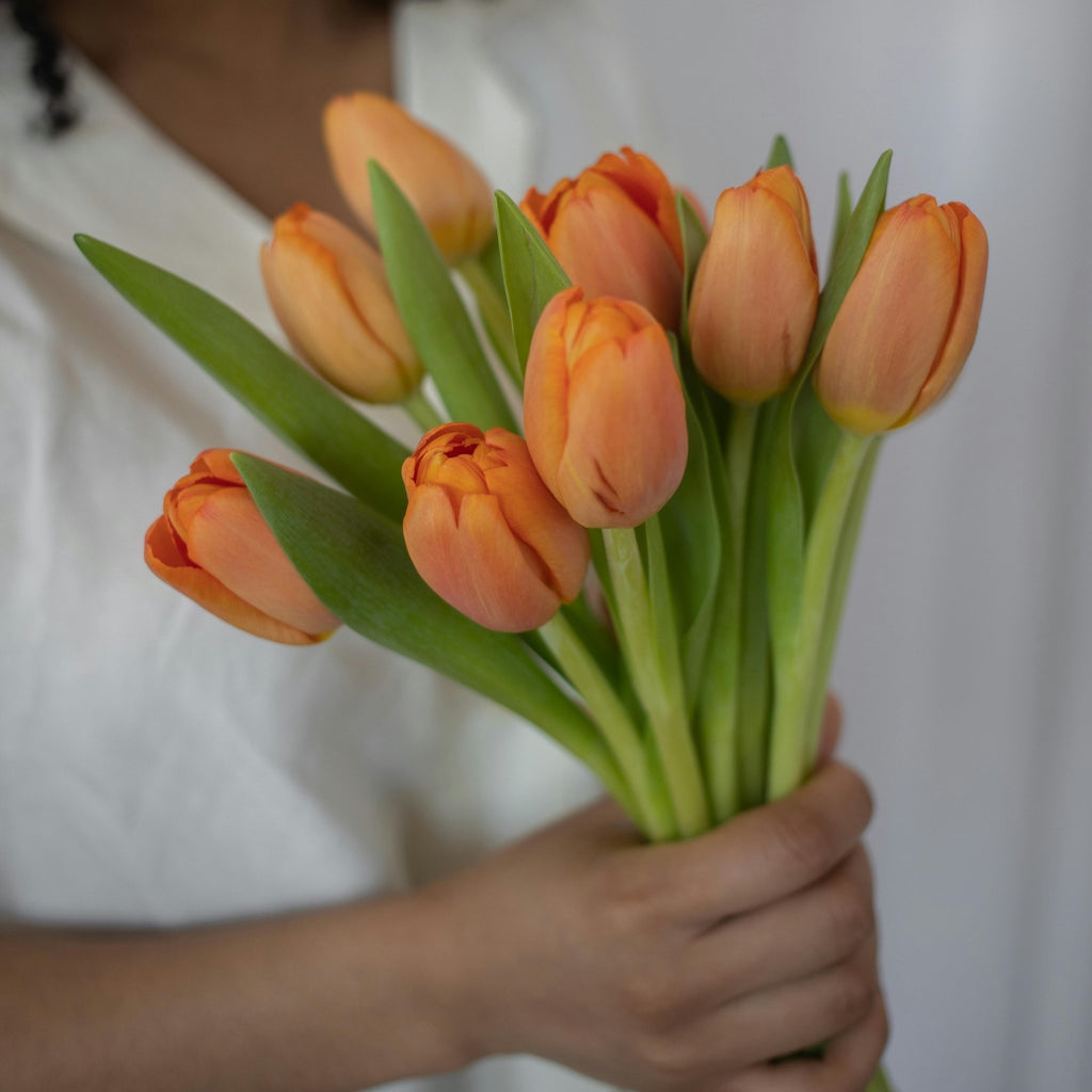 Oranje tulpen