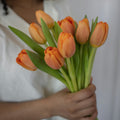Oranje tulpen
