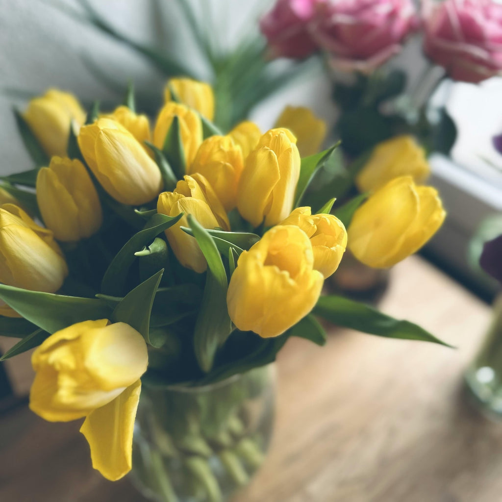 Gele tulpen